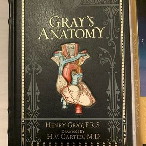 Greys Anatomy Book